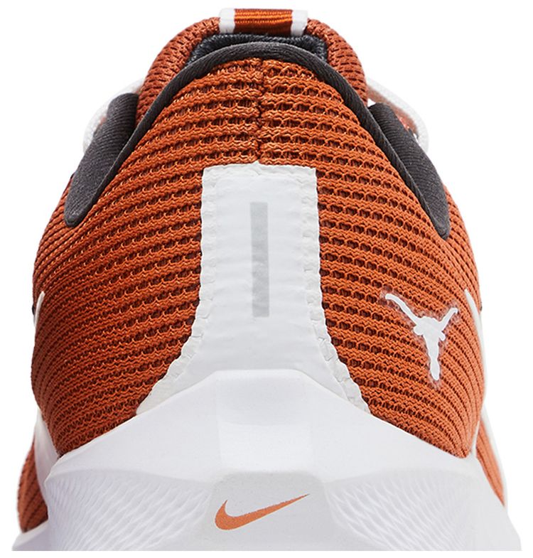 Nike Air Zoom Pegasus 40 Texas