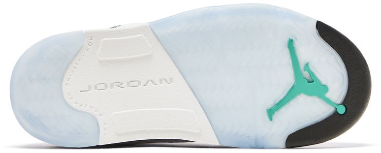 Air Jordan 5 Retro TD Grape 2025