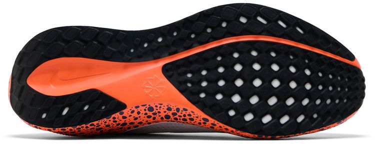 Nike Air Zoom Pegasus 41 EasyOn Electric Pack