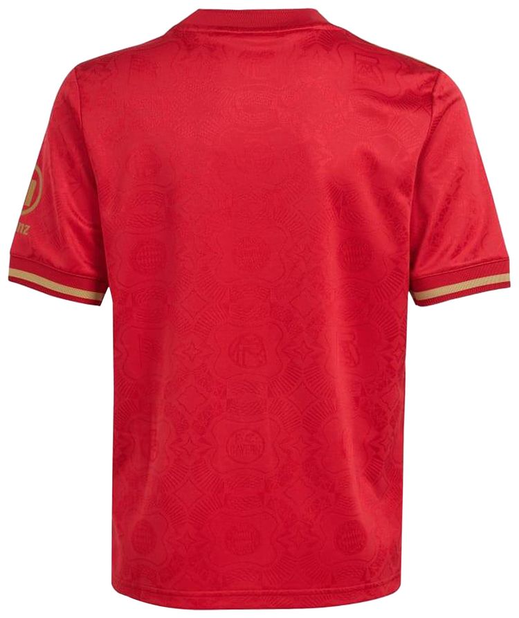 adidas FC Bayern 125th Anniversary Jersey Active MaroonDark Football Gold