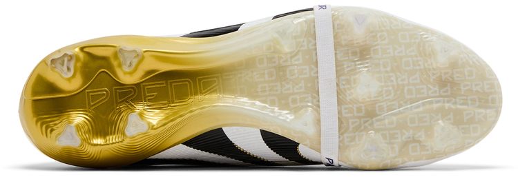 Adidas Predator Elite Foldover Tongue FG Road to Glory Pack