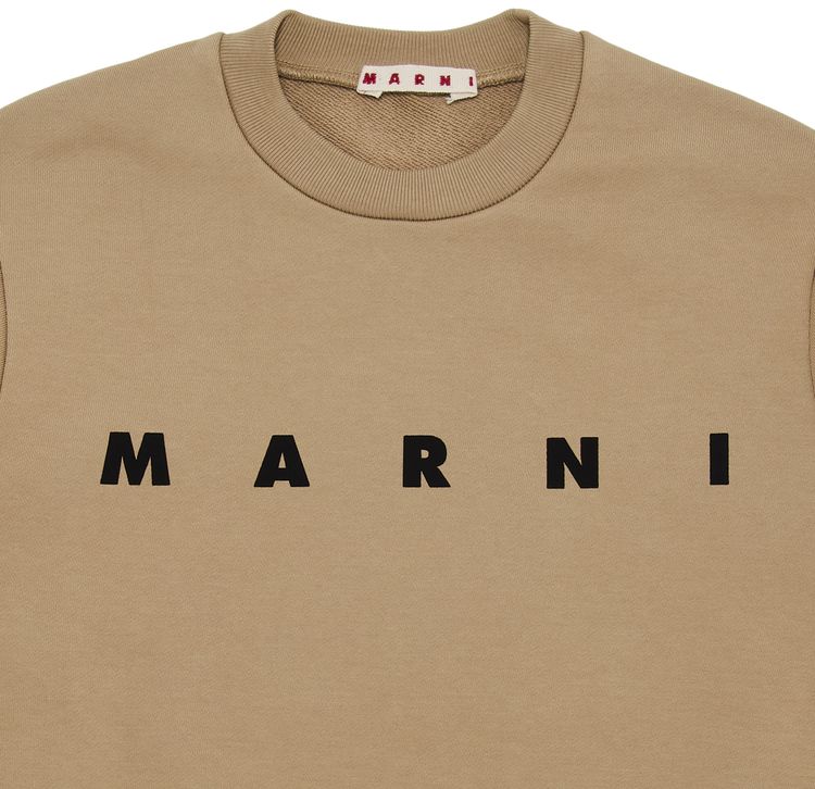 Marni Kids Unbrushed Fleece Sweatshirt Tan