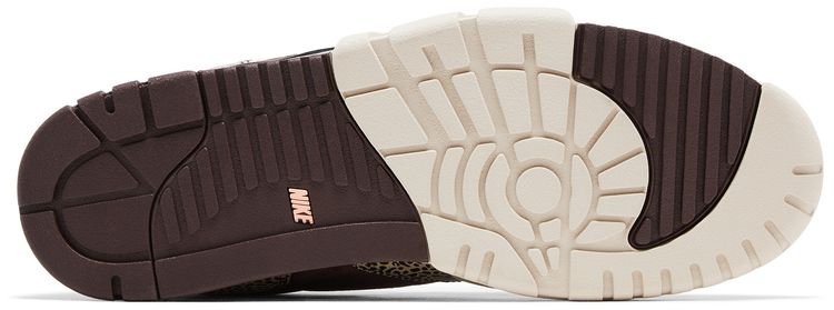 Arts Rec x Nike Air Trainer 1 SB For Recreational Use