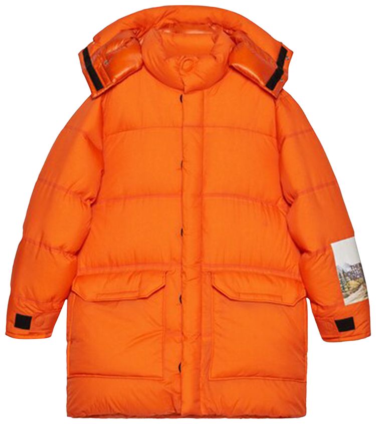Gucci x The North Face Down Jacket Orange