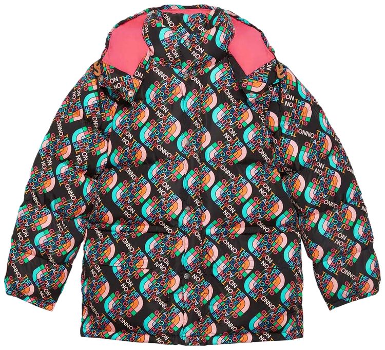 Gucci x The North Face Down Jacket MulticolorBlack