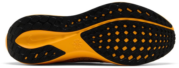 Nike Air Zoom Pegasus 41 LV8 Modern Mayfly Pack