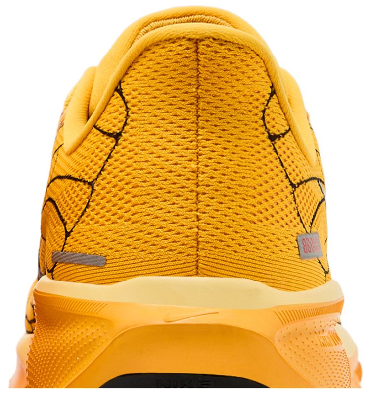 Nike Air Zoom Pegasus 41 LV8 Modern Mayfly Pack