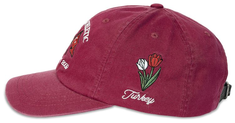 Palace Athletic 6 Panel Berg