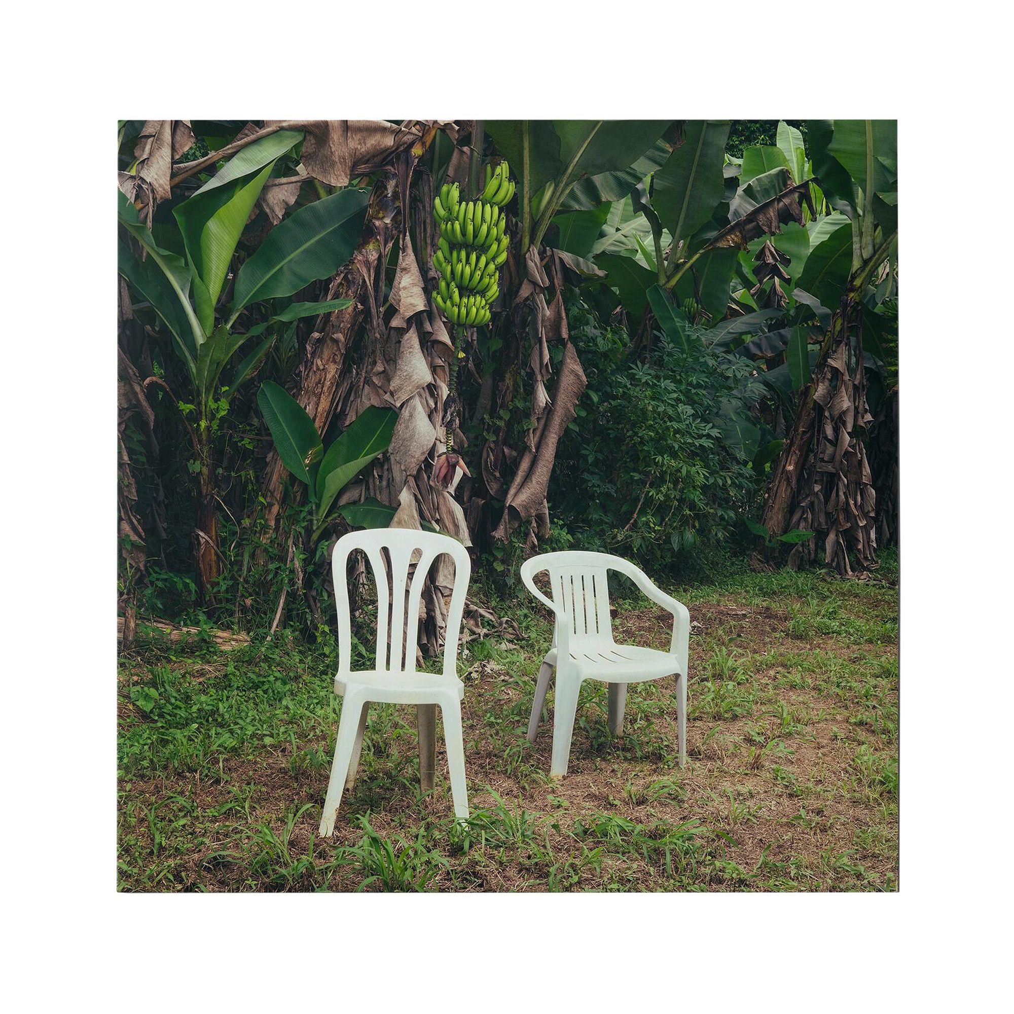 Buy Bad Bunny DeBÍ TiRAR MáS FOToS Gatefold Double Vinyl