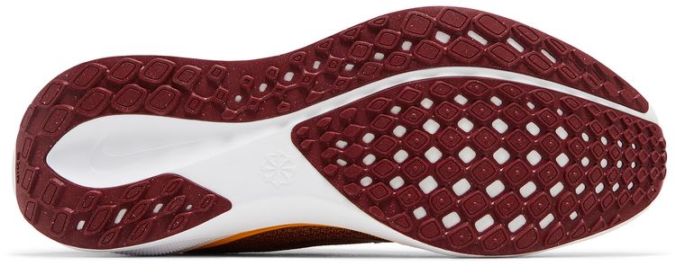 NFL x Nike Air Zoom Pegasus 41 Washington Commanders