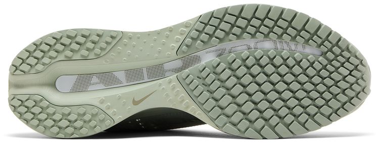 Nike Pegasus Premium Jade Horizon