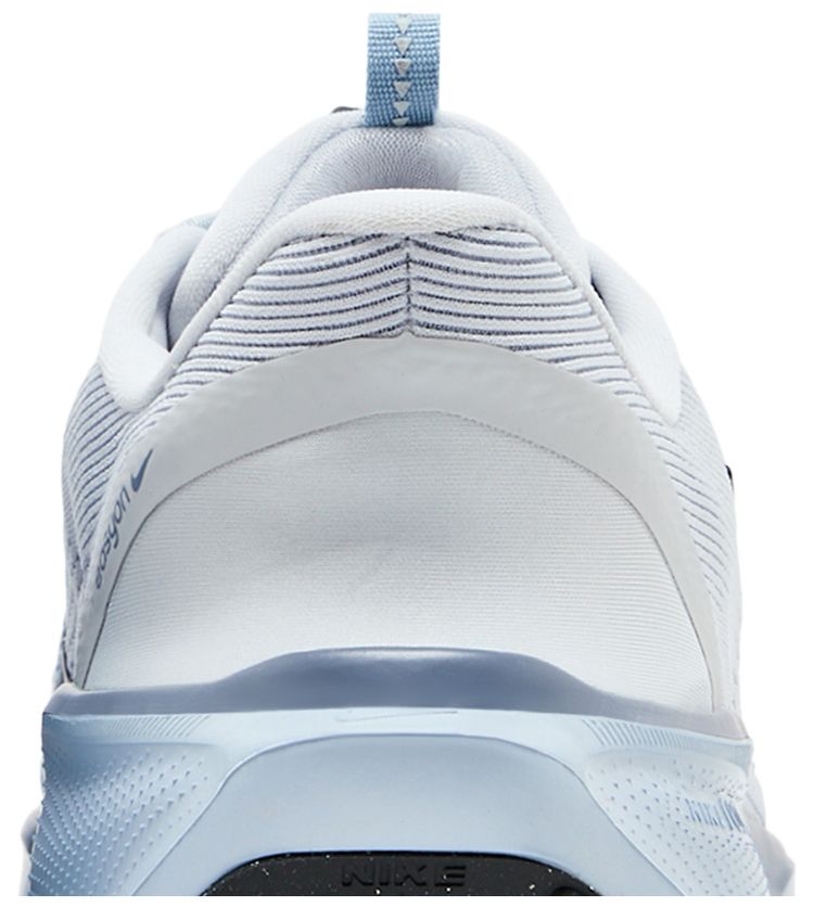 Nike Air Zoom Pegasus 41 EasyOn Pure Platinum Light Armory Blue