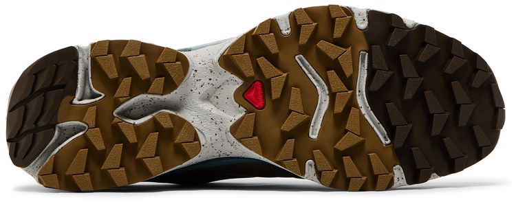 Bodega x Salomon XT 4 OG The Glider