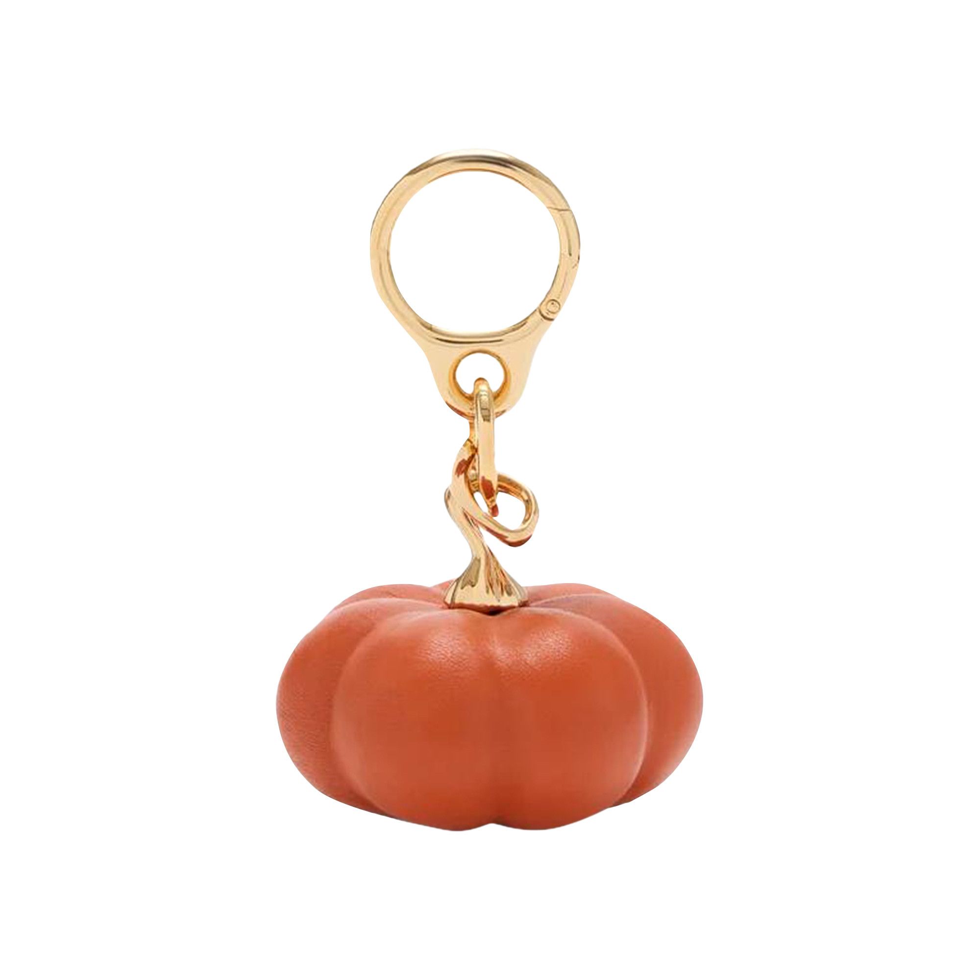 Buy Loewe Short Lambskin Pumpkin Charm 'Orange/Gold' - C621232XQI
