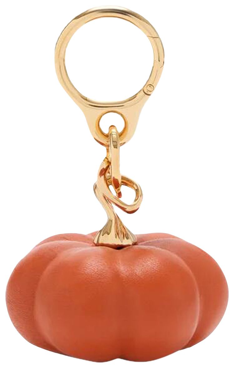 Loewe Short Lambskin Pumpkin Charm OrangeGold