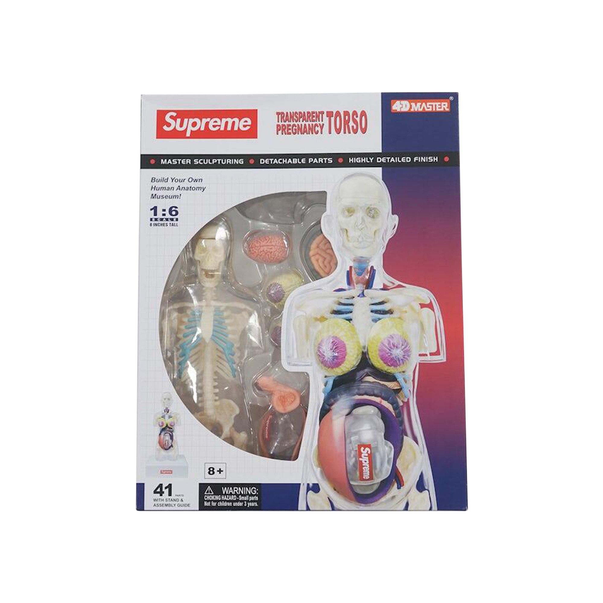 Buy Supreme Female Anatomy Model 'Clear' - FW18A71 CLEAR | GOAT