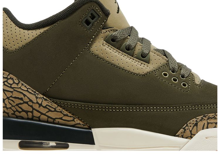 Air Jordan 3 Retro GS Family Affair