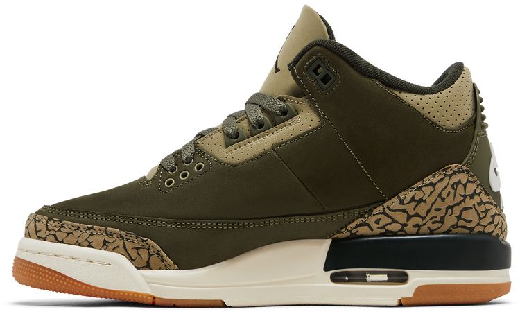 Air Jordan 3 Retro GS Family Affair