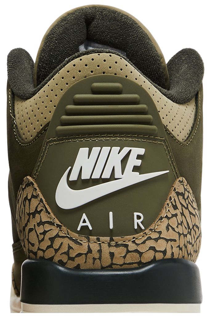 Air Jordan 3 Retro GS Family Affair