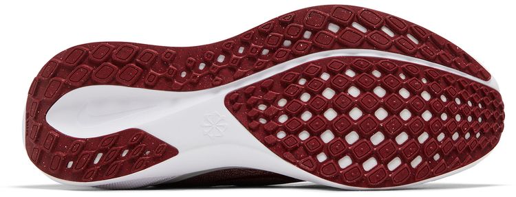 Nike Air Zoom Pegasus 41 Alabama 2024