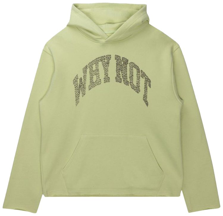 Honor The Gift Why Not Hoodie Green