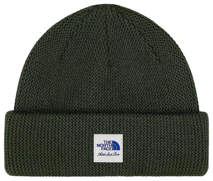 Aime Leon Dore x The North Face Wool Beanie Kombu Green