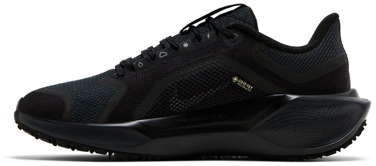 Nike Wmns Air Zoom Pegasus 41 GORE TEX Black Anthracite