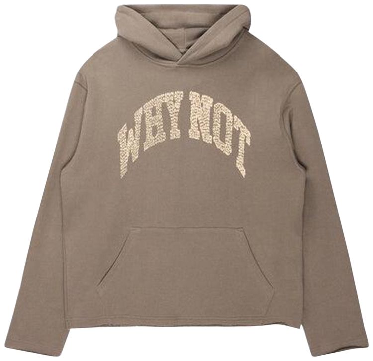 Honor The Gift Why Not Hoodie Taupe