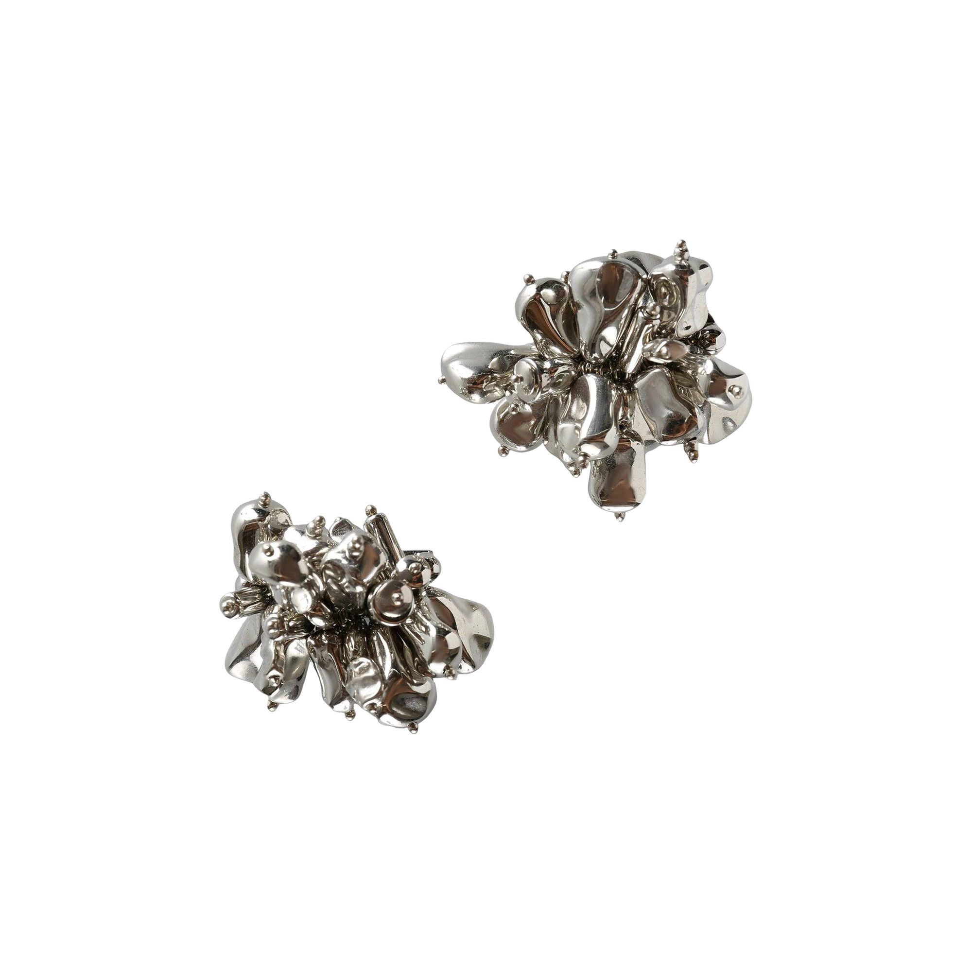 Buy Dries Van Noten Embroidered Earrings 'Silver' - 252 018237 098