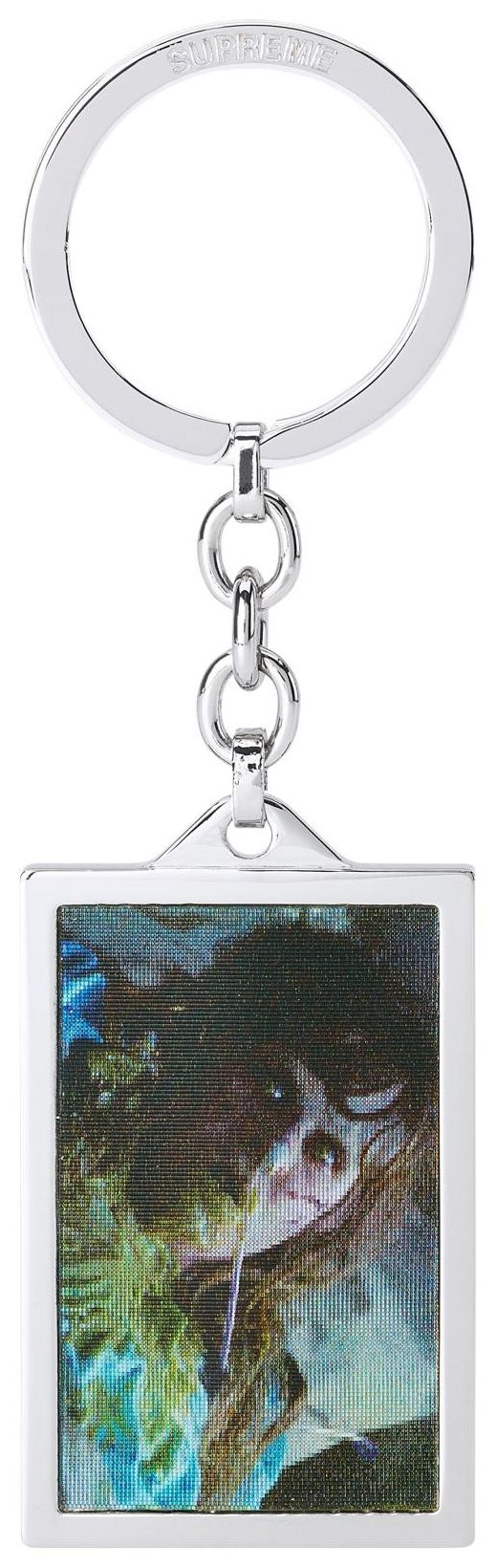 Supreme x The Exorcist Keychain Multicolor