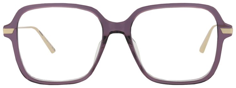 Dior Square Frame Acetate Optical Frames VioletGoldTransparent