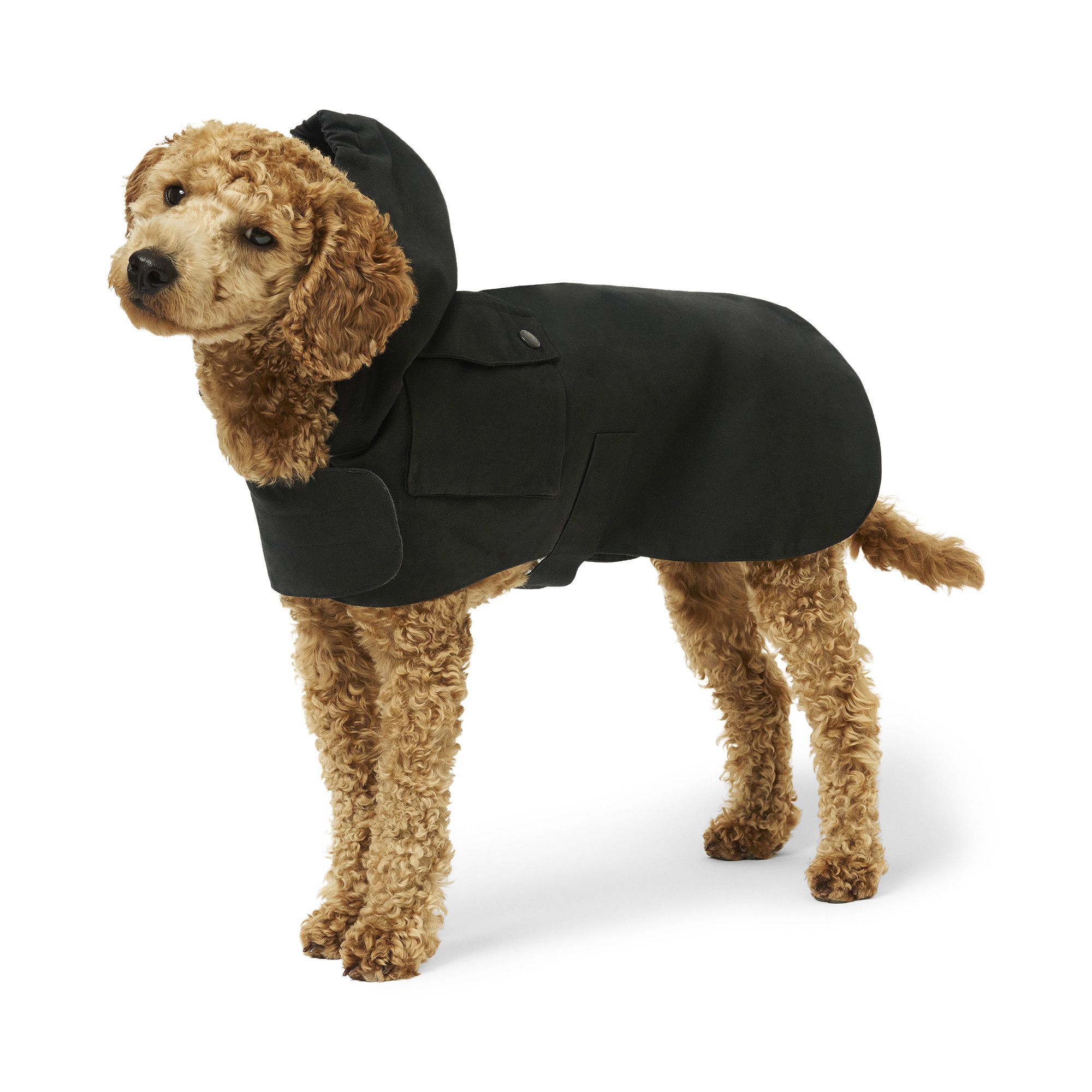 Buy Palace x Barbour Dog Coat 'Black' - DCO0093BK11 | GOAT