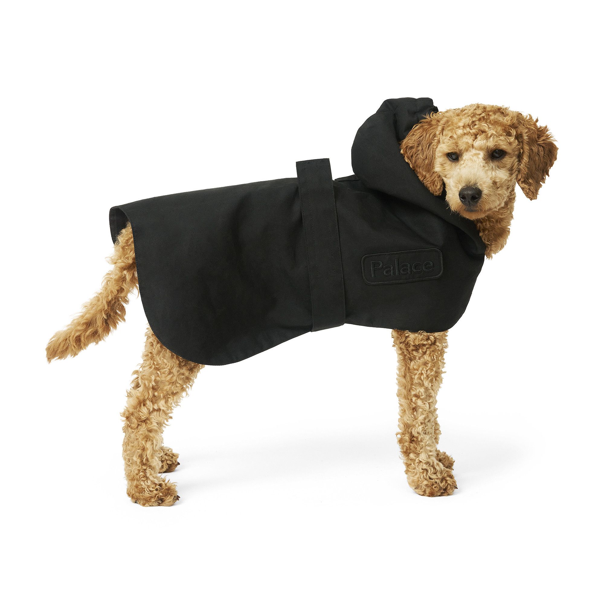 Buy Palace x Barbour Dog Coat 'Black' - DCO0093BK11 | GOAT