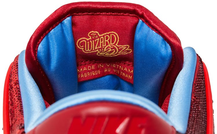 The Wizard of Oz x Nike Dunk Low SB Ruby Red Slipper Friends  Family