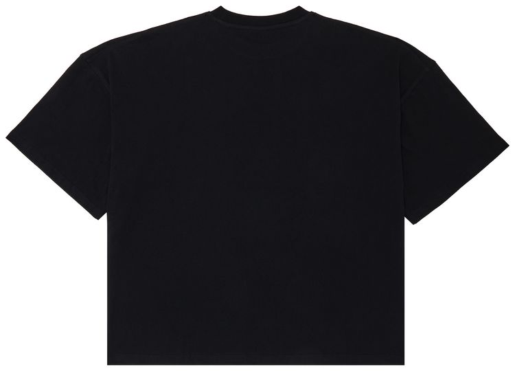 GOAT Horoscope Leo Tee James Baldwin