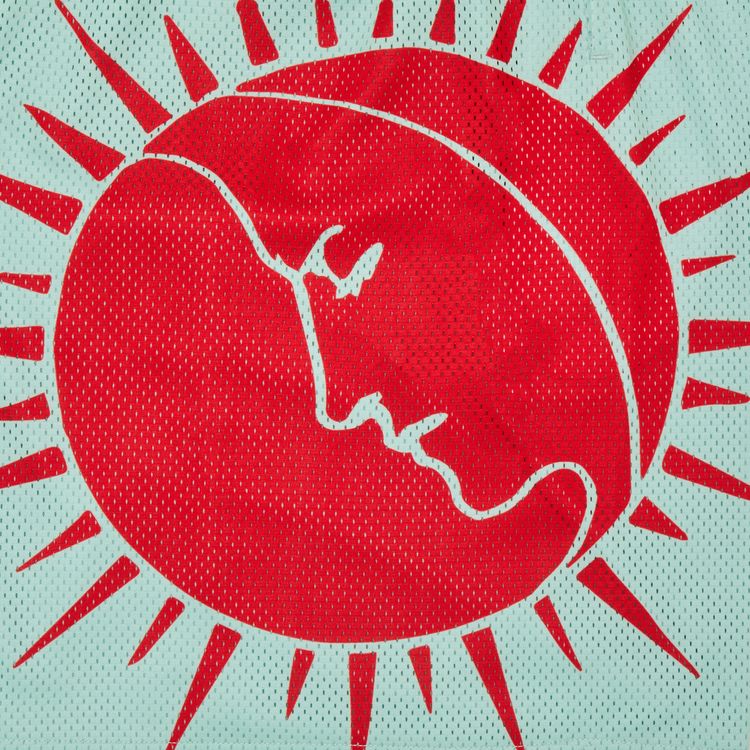 GOAT Moon Tarot Shorts Mint