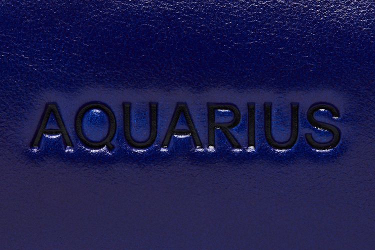 GOAT Horoscope Aquarius Mule Royal BlueBlack