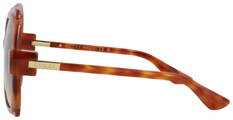 Gucci Round Frame Injection Sunglasses Havana Brown