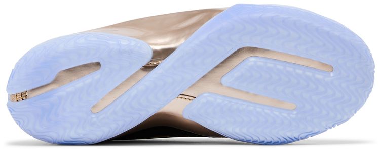 Nike Lebron 23 The Chosen One And The One Who Chose