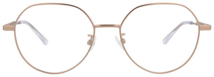 Bottega Veneta Round Frame Metal Optical Frames GoldTransparent