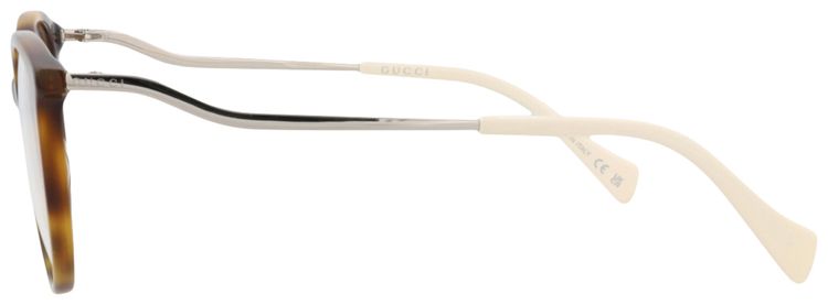 Gucci Round Frame Acetate Optical Frames HavanaSilverTransparent