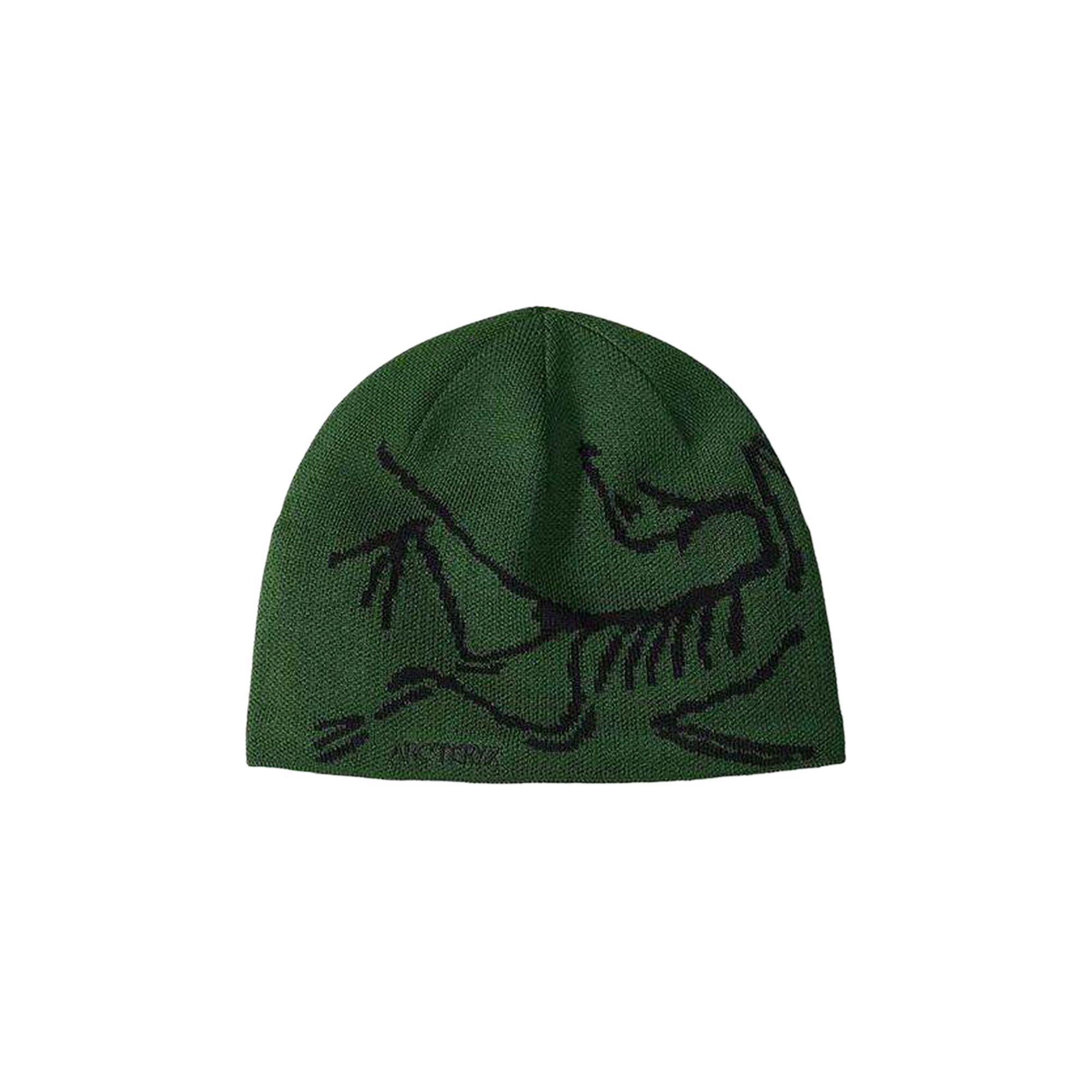 Buy Arc'teryx Bird Head Toque 'Eden/Black' - X000006756 EDEN | GOAT