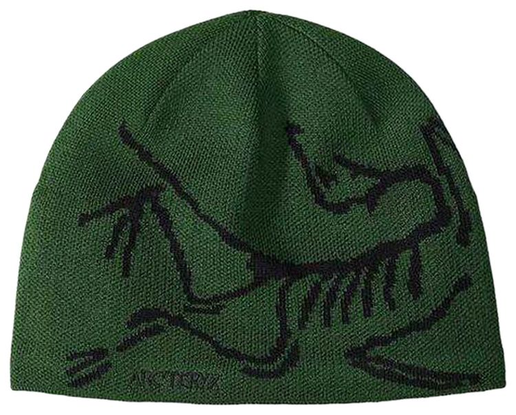 Arcteryx Bird Head Toque EdenBlack