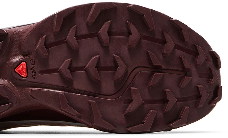 Salomon XT 6 GORE TEX Mahogany Rose