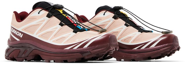 Salomon XT 6 GORE TEX Mahogany Rose