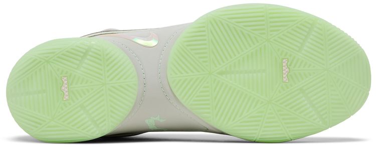 Nike LeBron 22 Dunkman