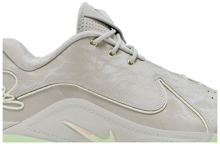 Nike LeBron 22 Dunkman