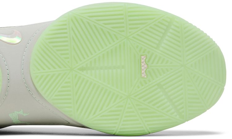 Nike LeBron 22 Dunkman