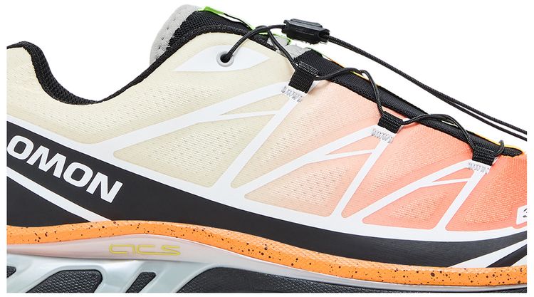 Andrew x Salomon XT 6 Florida Snow Crab