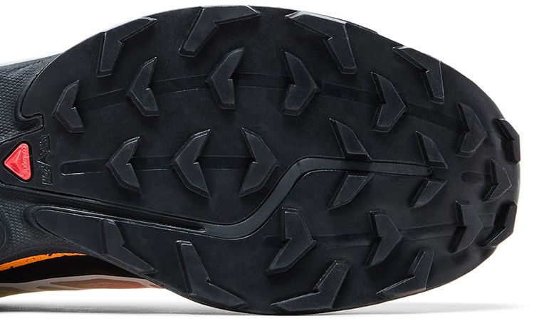 Andrew x Salomon XT 6 Florida Snow Crab